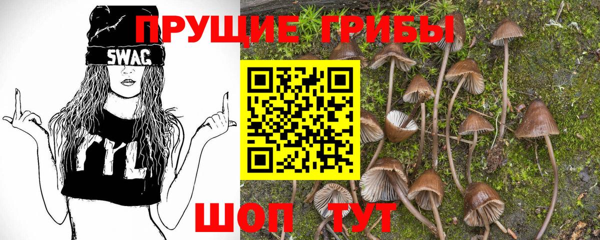 Галлюциногенные грибы мицелий  Галлюциногенные грибы GOLDEN TEACHER  Борисоглебск  Вход с VPN 